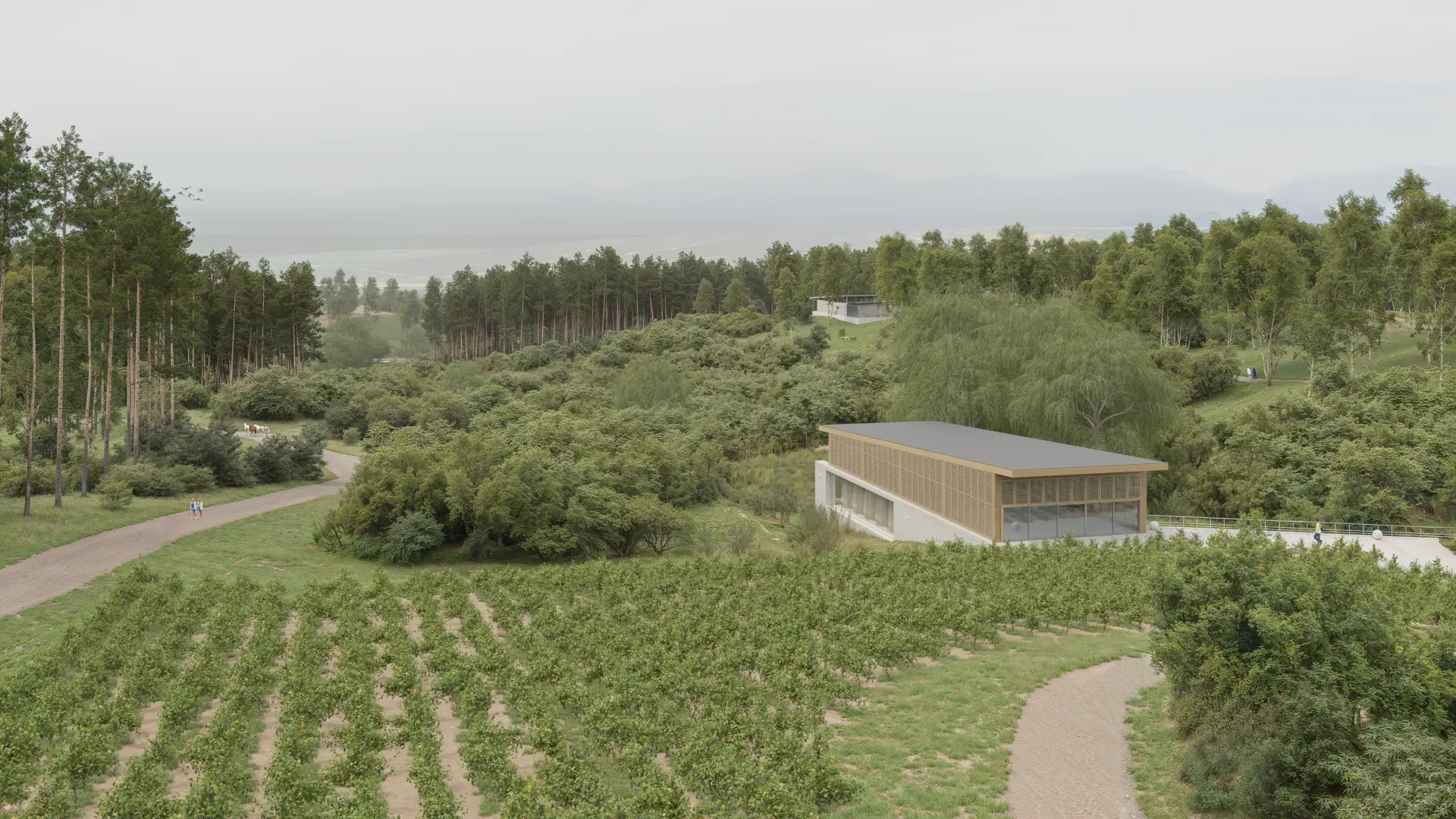 Silara Plan Maestro - Estudio de arquitectura premium en Garzón - Perspectiva